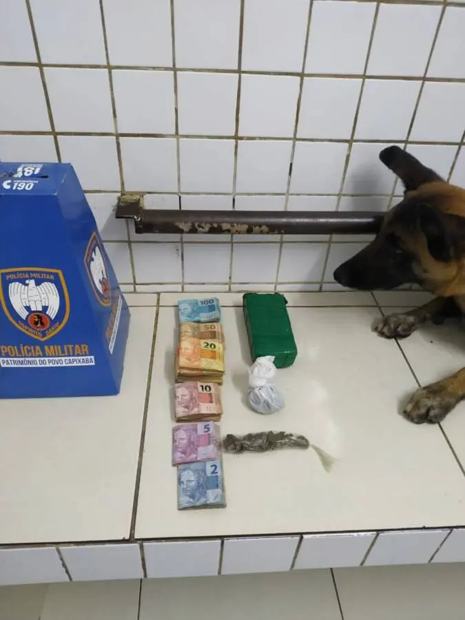 PM detona mais uma biqueira, com ajuda do cão Apollo