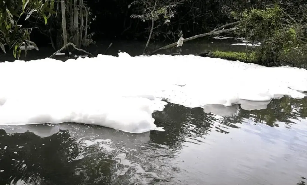 (CESAN e Ambiental Serra) 2 milhões em multas canceladas de forma “suspeita”