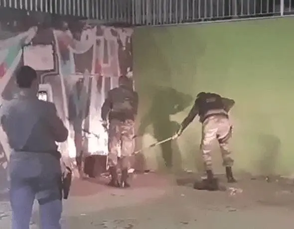 Capivara resgatada após ser flagrada passeando em bairro da Serra