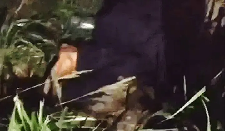 Durante partida de futebol, traficante atira em policiais militares e acaba baleado na Serra