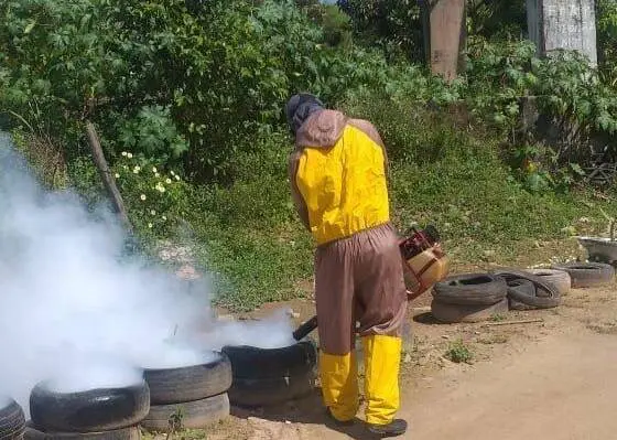 Prefeitura da Serra anuncia redução no número de casos de Dengue e Chikungunya
