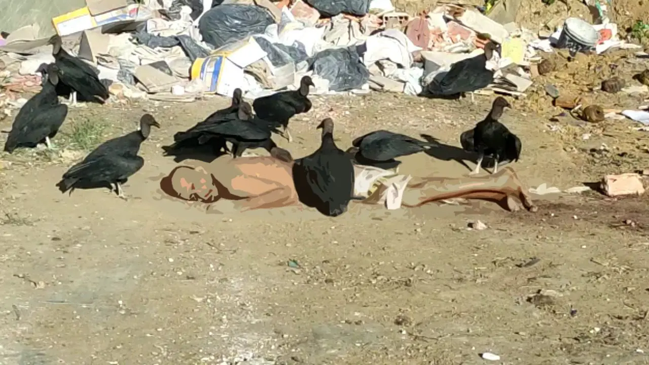 Homem encontrado morto e com urubus comendo seu corpo na Serra