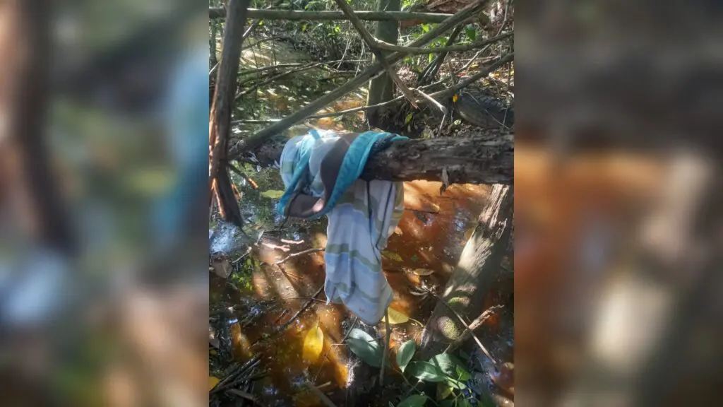 Corpo de homem não identificado é encontrado dentro de matagal na Rodovia Norte Sul