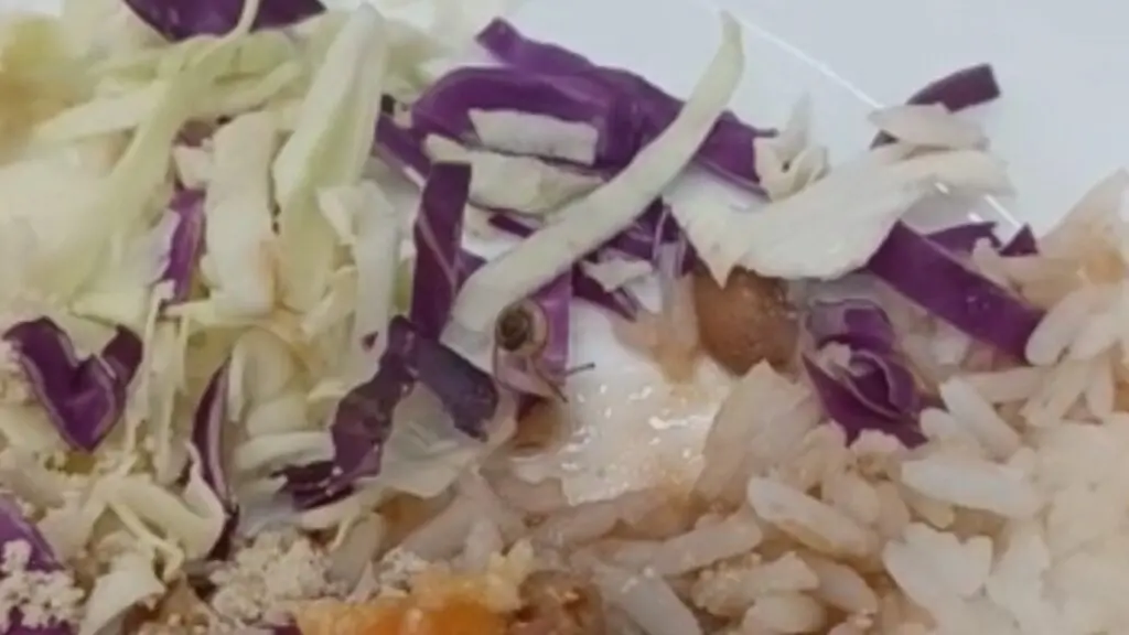 Funcionários encontram arame e até caramujo vivo na comida servida nos restaurantes na área da Vale-ES