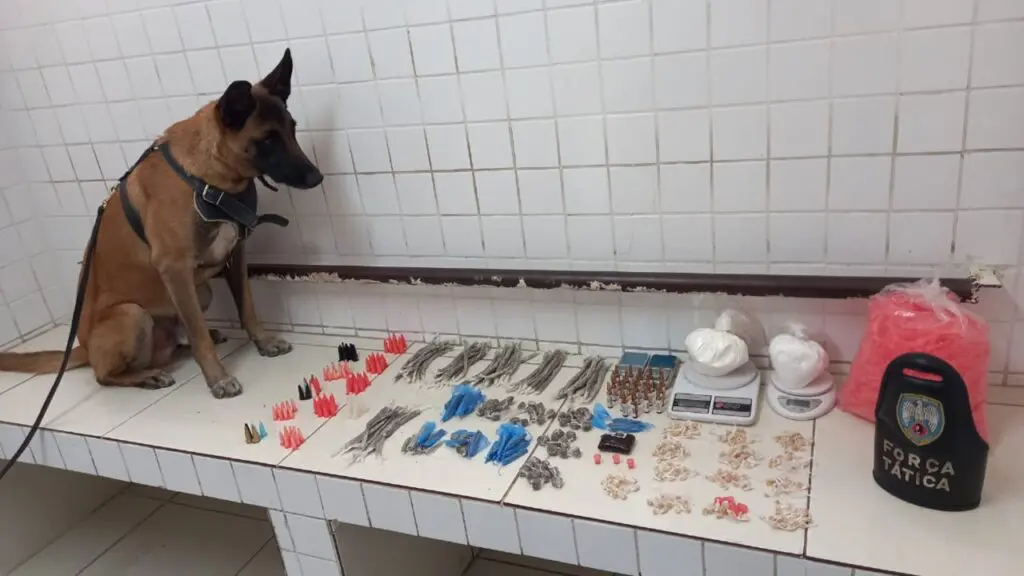 Polícia Militar detona base do tráfico escondido dentro de matagal na Serra