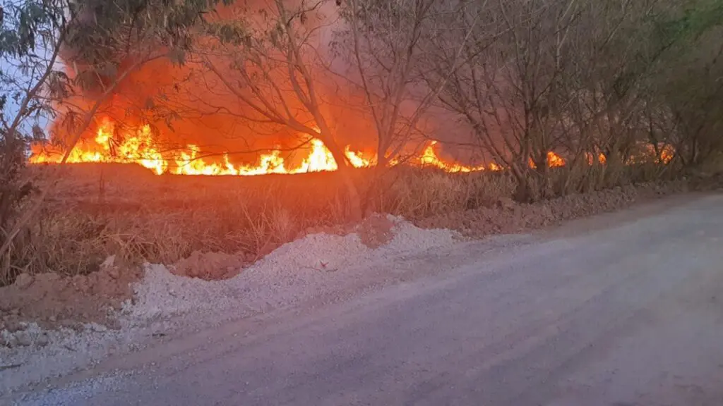 Capixabas registram incêndio de grandes proporções na estrada de Queimados na Serra