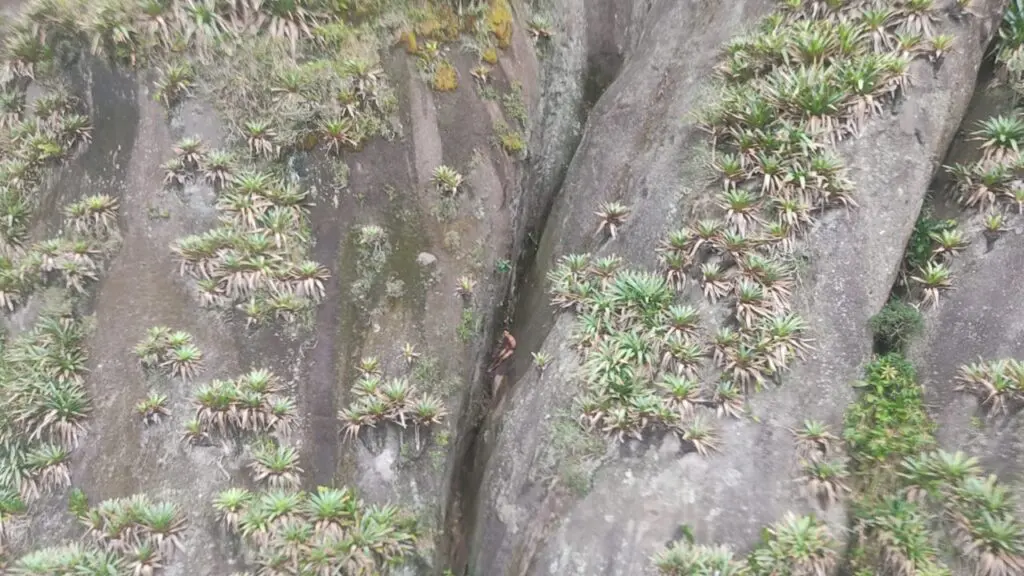 Mistério: Jovem desaparecido em Vila Velha aparece preso e peladão no monte Mestre Álvaro