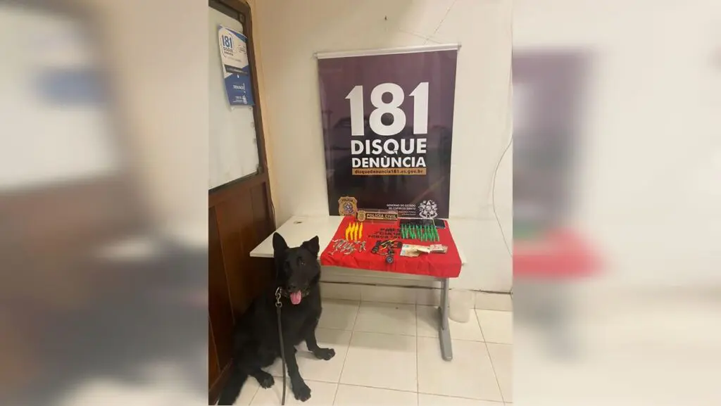 Operação conjunta prender com sucesso quadrilha de “queimados” em Domingos Martins