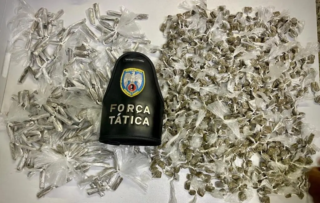 Polícia Militar apreende mais de mil buchas da maconha em Cariacica