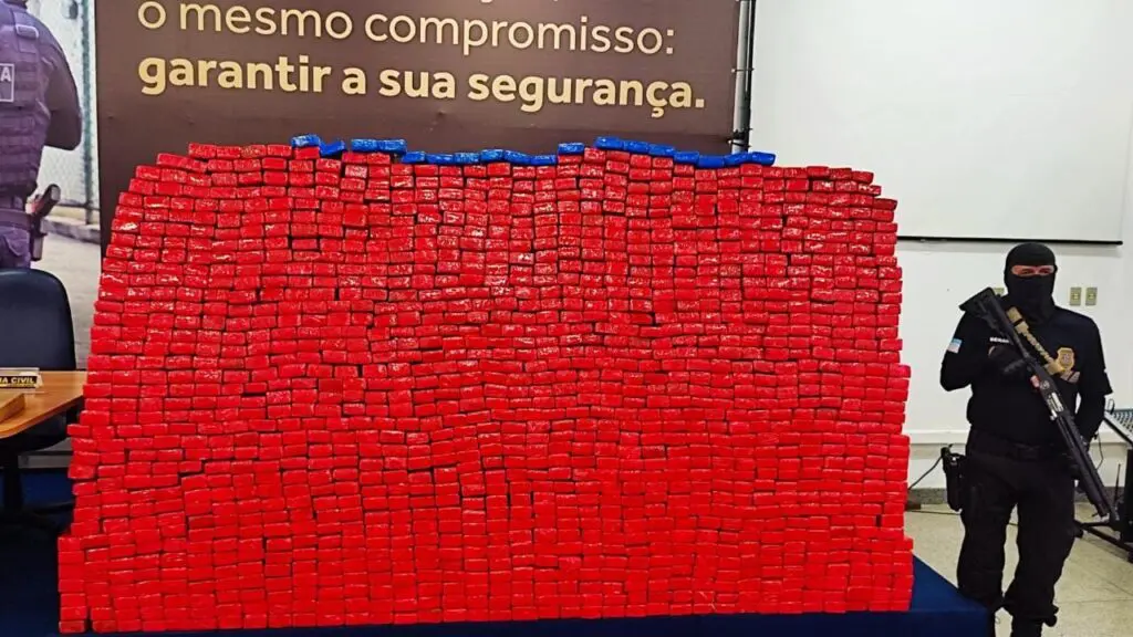 1 Tonelada de Drogras (Maconha) empilhada, Agente da Policial Civil armada ao lado