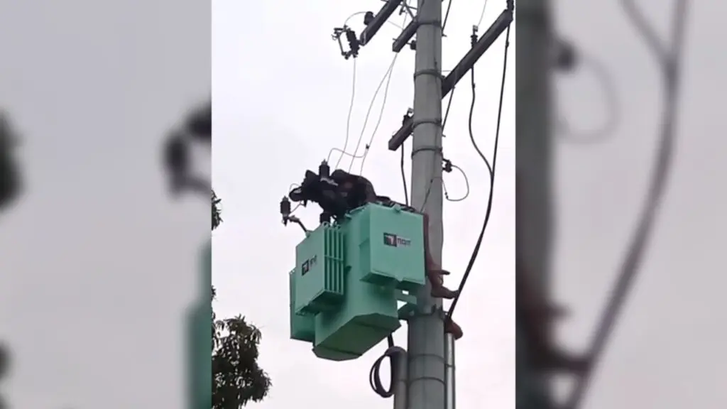 Noia leva choque de alta tensão após tentar furtar fios em frente prefeitura de Cariacica