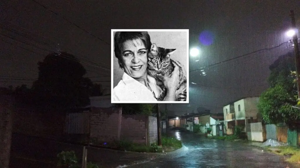 DHPM coloca fim no mistério sobre a morte de policial civil aposentada em Nova Carapina