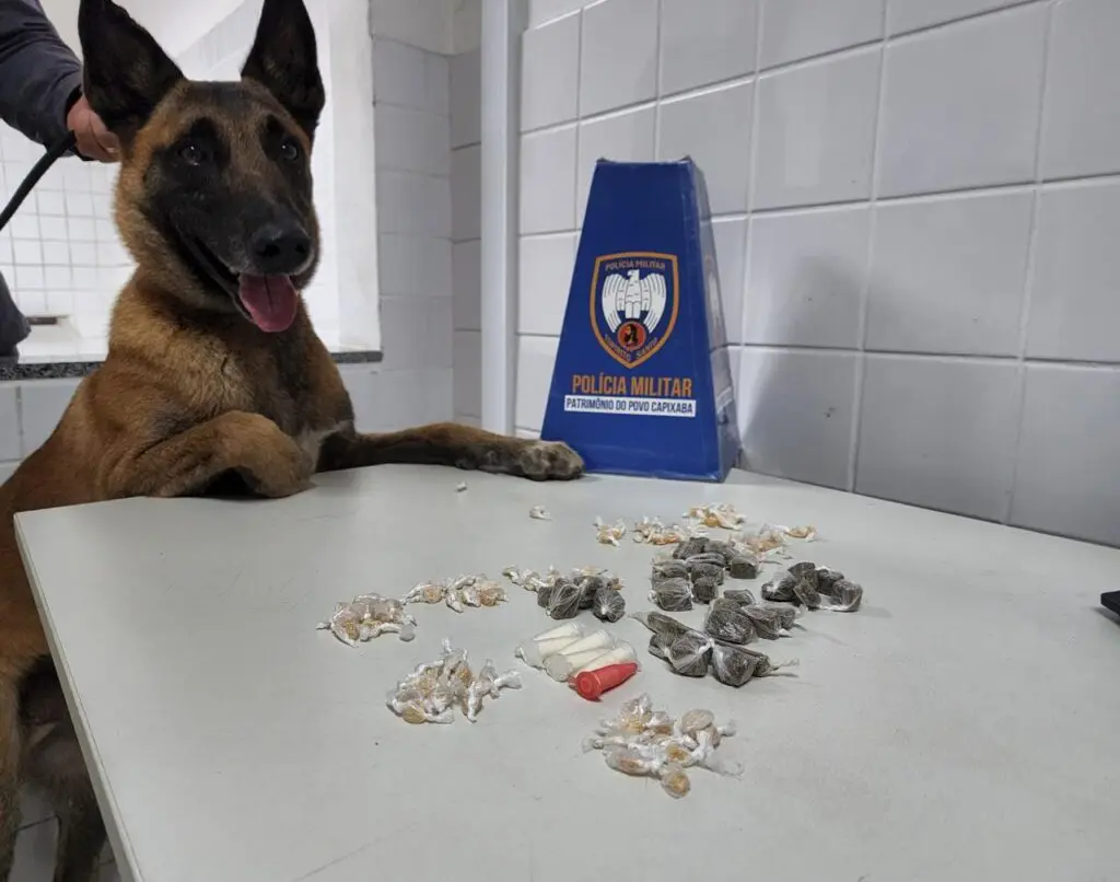 Giro Policial: ano novo e cela nova para os "queimados" presos na Serra