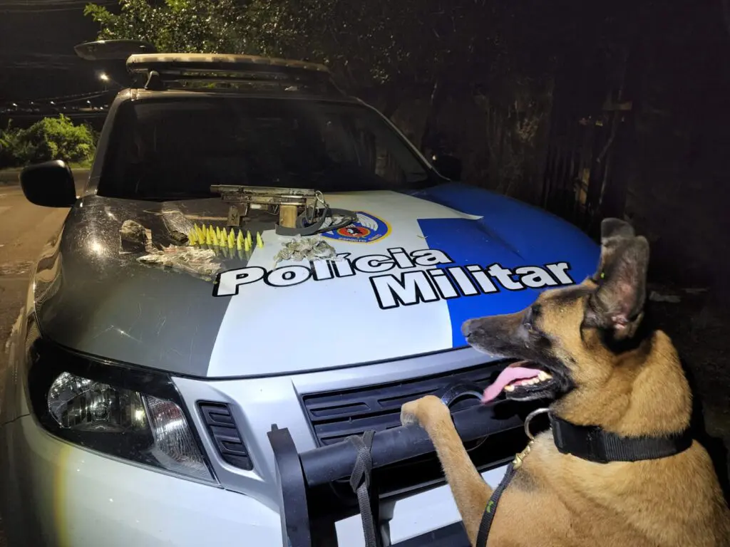 Cão Apollo K9 detona três esconderijos do tráfico na Serra