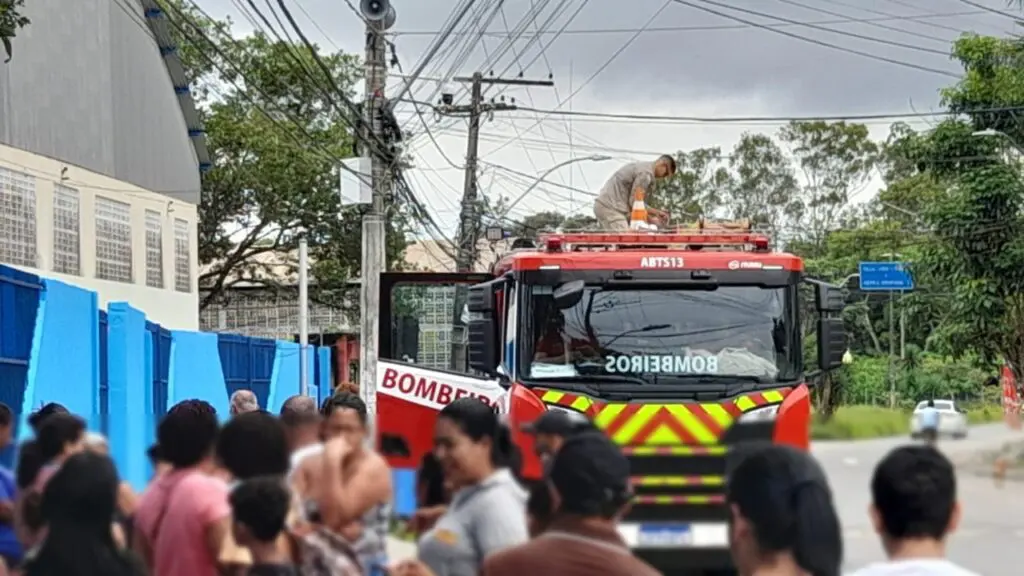 Ataque de marimbondos atinge escola e o Corpo de Bombeiros é acionado na Serra