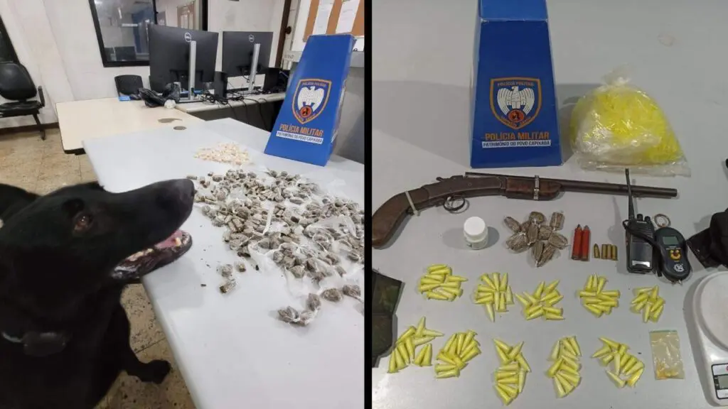 Polícia Militar arrocha “biqueiras” e apreende drogas e uma espingarda em pontos da Grande Vitória Arte com duas fotos na primeira foto um cão policial pastor alemão todo preto próximo de uma mesa com centenas de drogas e na segunda foto sobre a uma mesa branca 97 pinos de cocaína, 02 balanças de precisão, 11 buchas de maconha, 01 espingarda calibre 32, 01 porção de ecstasy, 01 porção de ácido bórico, 01 munição 9 mm, 02 munições calibre 32, 01 rádio comunicador e 2 coldres.