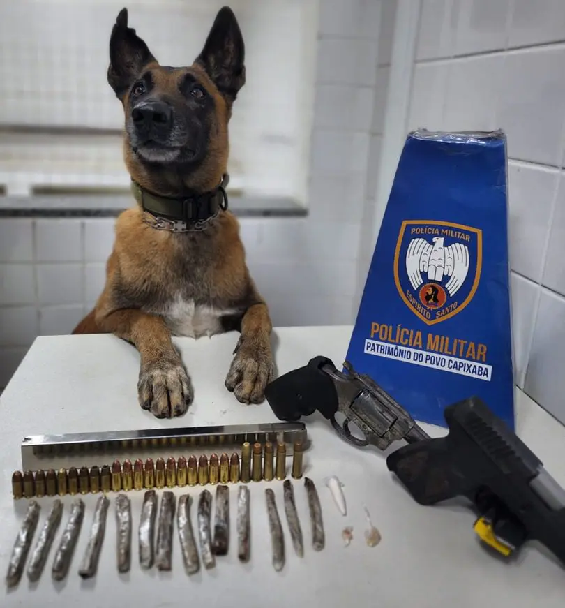 Cão Apollo ao lado do material ilícito apreendido em Jardim Bela Vista