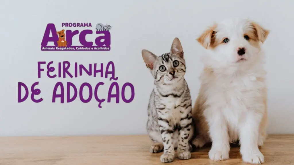 Programa Arca realizará feira de adoção de cães e gatos em shopping na Serra Arte com uma imagem de ym filhote de cão ao lado de um filhote de gato, com a logo do Projeto Arca e a legenda feirinha de adoção