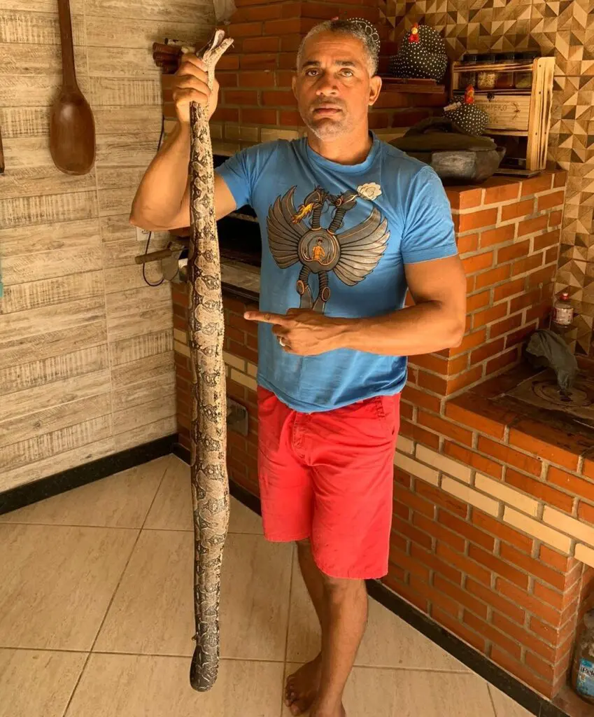 Morador segura a jiboia encontrada no quintal de casa em Jardim Bela Vista