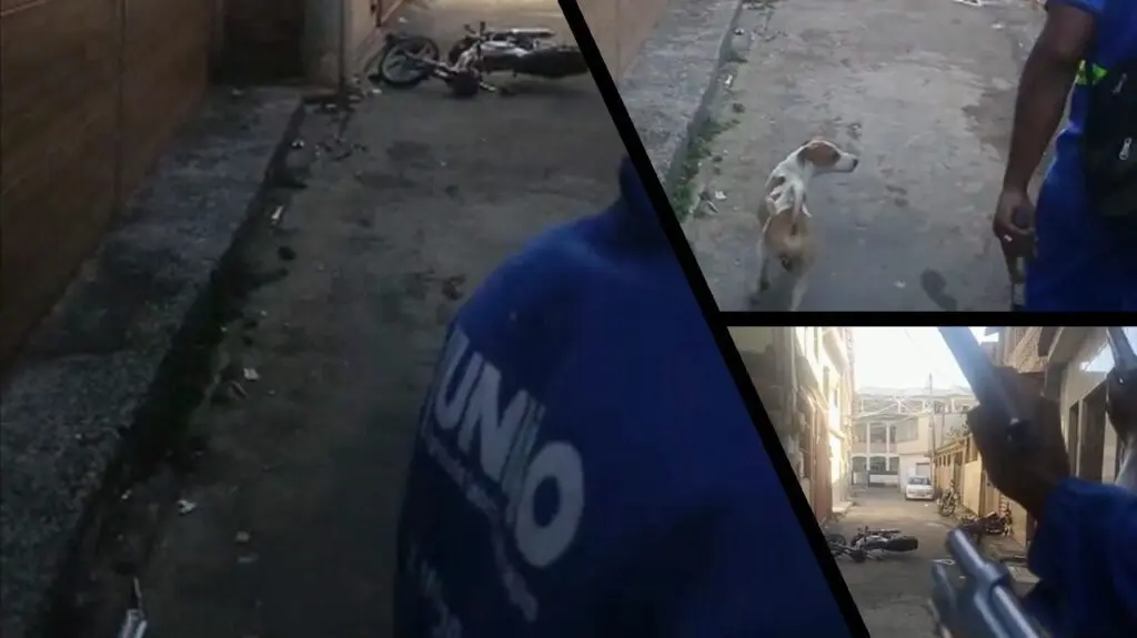 Vídeo: traficantes utilizam uniforme de empresas para promover ataque a rivais na Grande Vitória Mosaico do vídeo do ataque em Itacibá