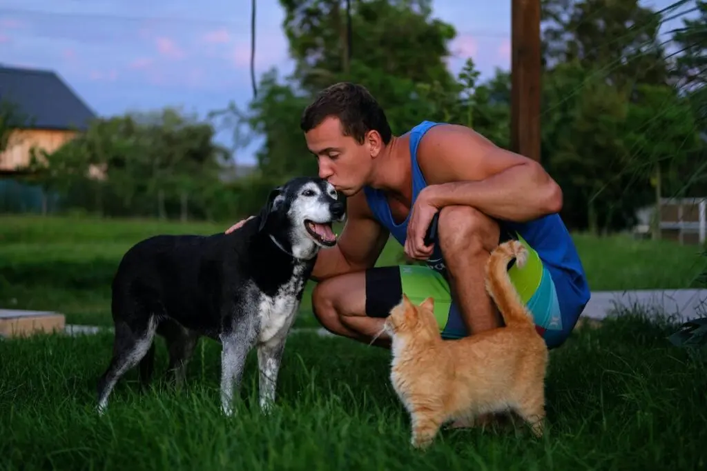 Vitória terá evento de adoção de animais acontecerá em Jardim Camburi Homem beijando cachorro e gato ao lado
