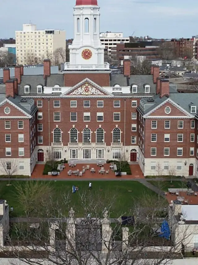 Harvard e Santander oferecem 5 mil bolsas de estudo para cursos de negócios