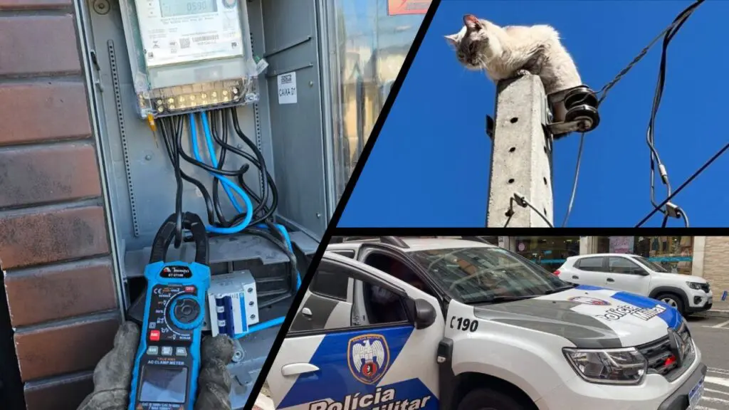 Dono de distribuidora de bebidas acaba preso por ligação clandestina de energia elétrica na Serra Arte com 3 imagens, na primeira um técnico da EDP fiscalizando um Relógio medidor de consumo de luz em uma pizzaria, na segunda imagem um gato em cima de um poste, e na terceira imagem uma viatura da PM, estacionada em uma rua