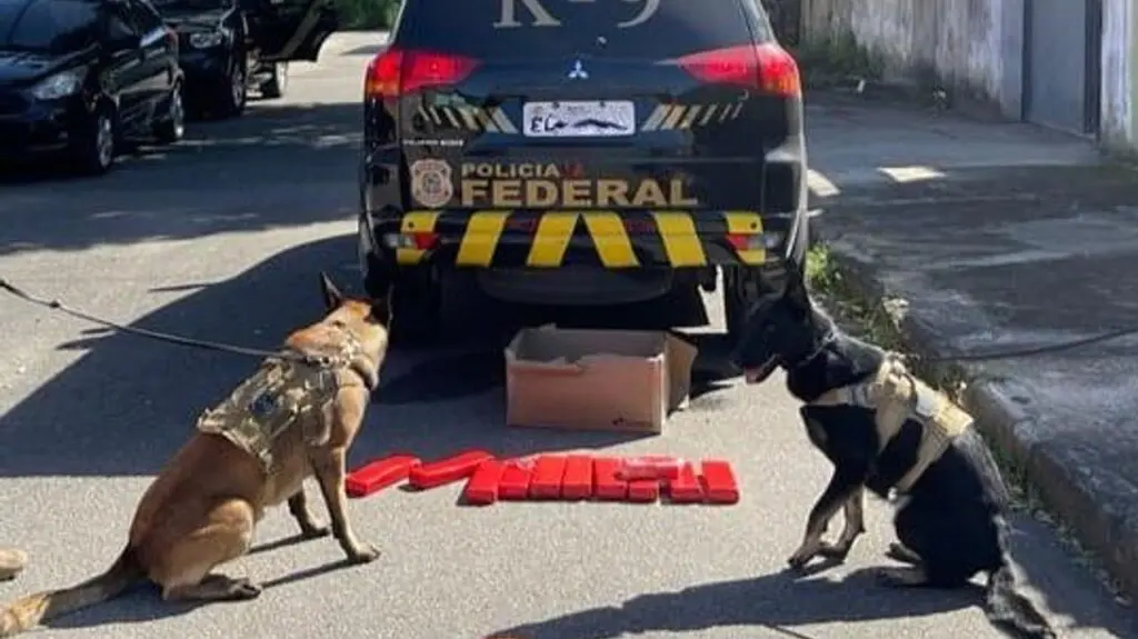 Polícia Federal prende em flagrante morador da Serra vacilando com 11kg de maconha Foto de uma viatura da Polícia Federal, estacionada com dois cães especialistas em farejar armas e drogas, e no chão 11 tabletes de maconhas, totalizando 11 kg