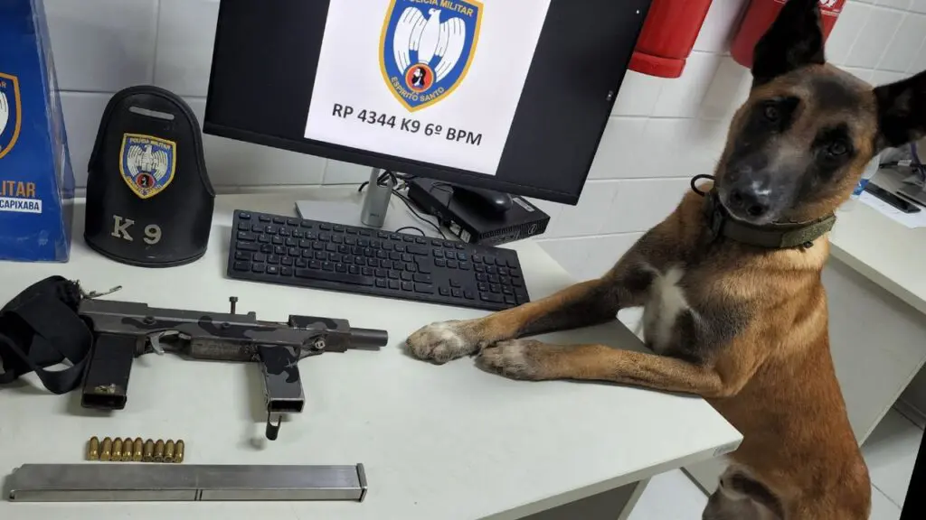 Polícia Militar flagra maluco vacilando na pista com submetralhadora em Serra Dourada Foto em uma sala da 3ª Delegacia Regional da Serra, sobre uma mesa branca uma metralhadora semi industrial, um pente alongado além de 10 munições, na mesa há também um monitor com a tela de descanso com o logo da PM, e um cachorro farejador especialista em detectar armas e drogas, de pé com as patas dianteiras sobre a mesa