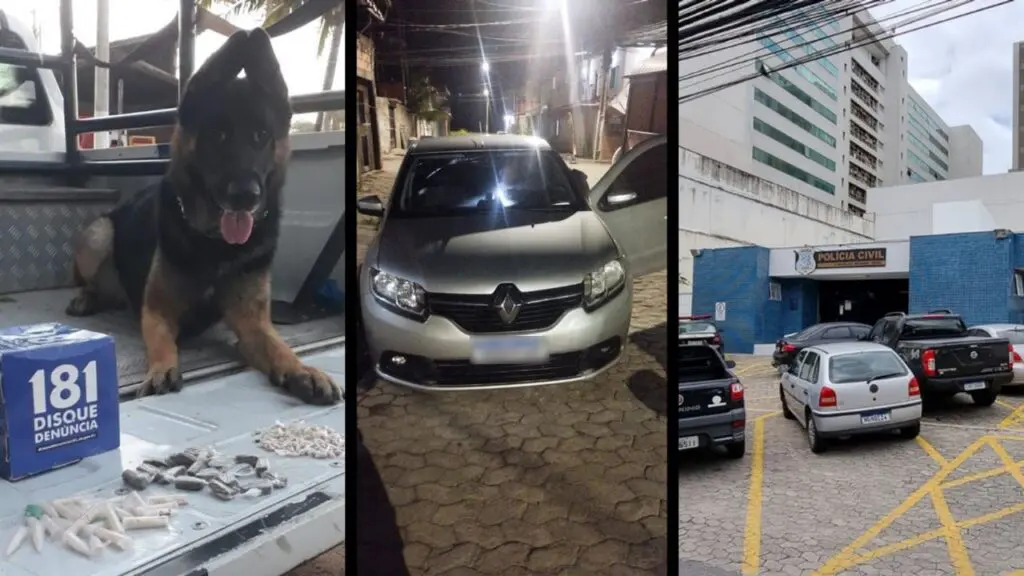 Polícia Militar arrocha biqueiras em bairros da Serra e resulta até em prisão Arte com 3 imagens na primeira um cão farejador Snop em cima de uma caçamba de uma viatura com algumas porções de drogas que foram apreendidas, na segunda imagem um veículo parado em uma rua de paralelepípedo com umas das portas abertas, na terceira a entrada da 3ªDelegacia Regional situada na Serra.
