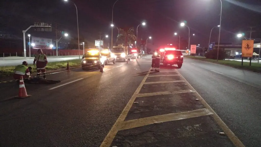 Idoso morre atropelado durante tentativa de atravessar BR-101 na Serra Idoso morre atropelado na Serra.