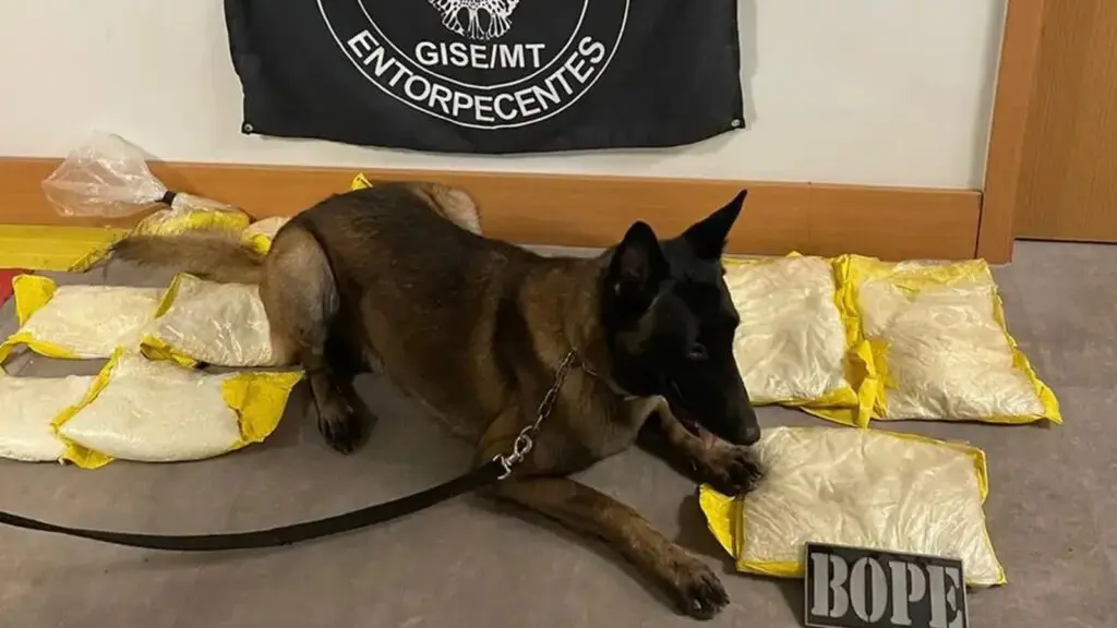 Mulher da Serra é presa em aeroporto com 10 kg de pasta base de cocaína em Mato Grosso