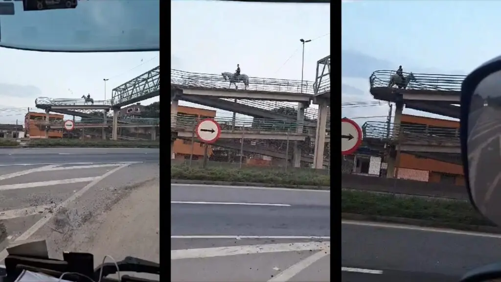 Vídeo: Homem na Serra é flagrado cruzando passarela a cavalo na BR-101