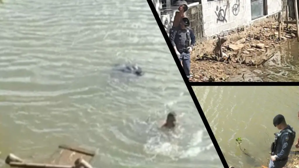 Vídeo: Corpo é resgatado após ser encontrado boiando dentro de rio em Nova Almeida Vídeo: Corpo é resgatado após ser encontrado boiando dentro de rio em Nova Almeida