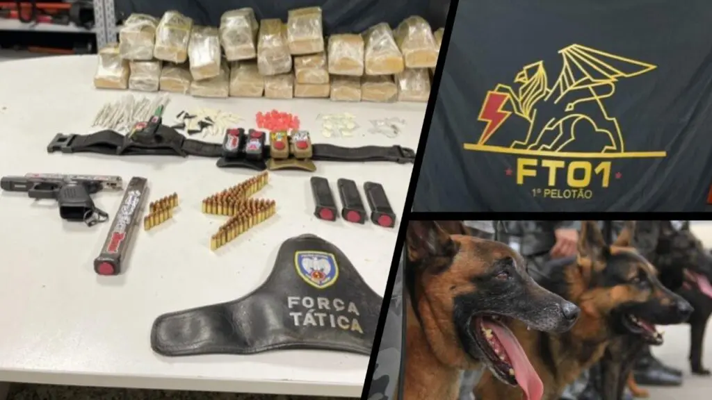 Guerra ao tráfico: Força Tática apreende grande quantidade de drogas no Complexo da Penha Força Tática apreende grande quantidade de drogas em Vitória.