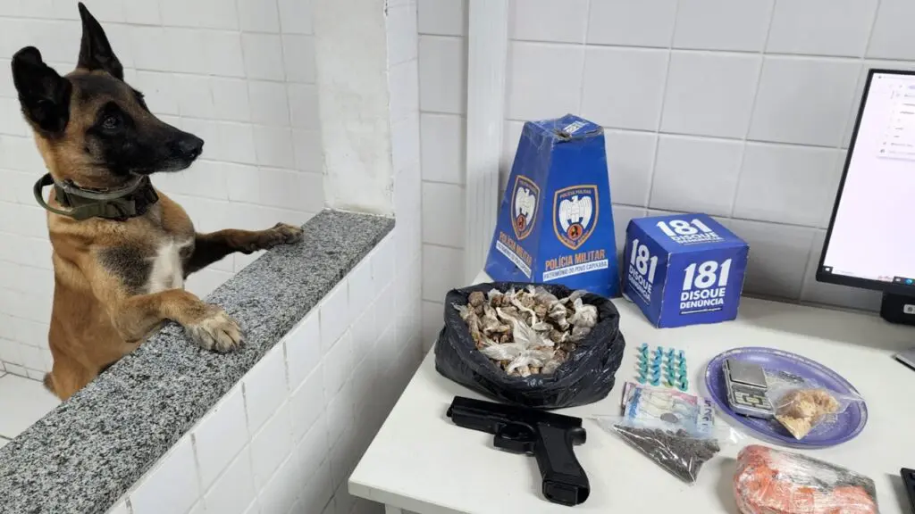 Polícia Militar encontra apartamento recheado de drogas após receber denúncias anônimas na Serra Polícia Militar fecha estoque de drogas em Porto Canoa