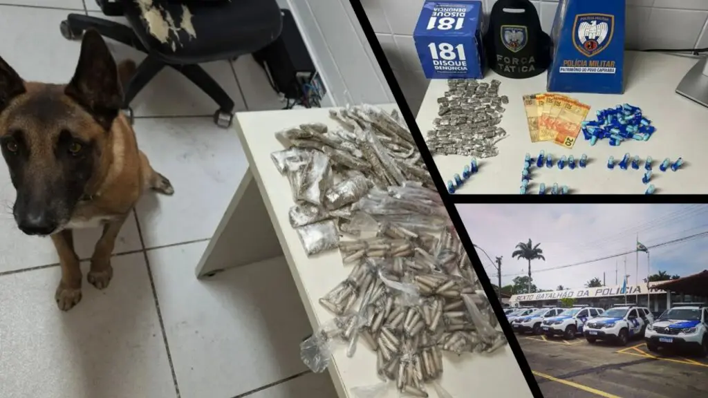 Polícia Militar arrocha traficantes e realiza grandes apreensões de drogas em bairros da Serra Policia Militar fecha o cerco contra o tráfico e apreende grande quantidade de drogas.