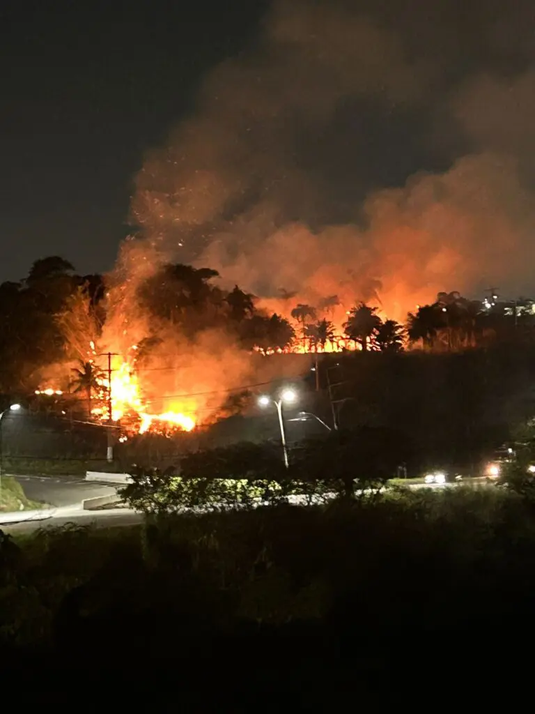 Terreno da empreso sendo consumido pelo Incêndio