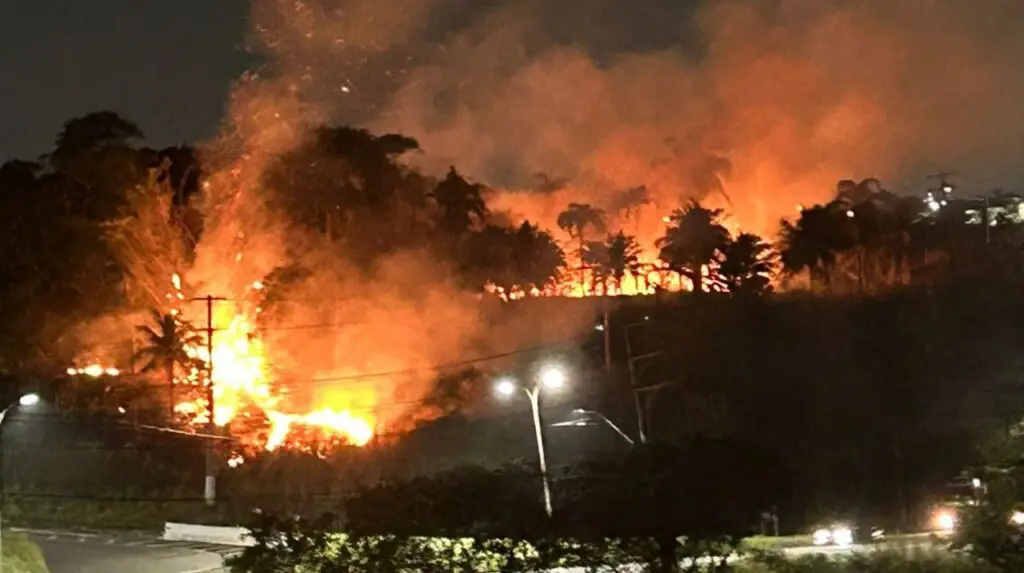 Vídeo: Incêndio destrói mais de 500 m² de vegetação em terreno na Serra Incendio destrói area de mais de 500 metros quadrados na Serra.