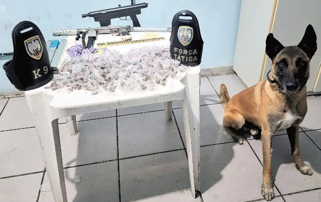 Cão Apollo ao lado de uma mesa com apreensões apresentadas pela Equipe K9 e Força Tática.