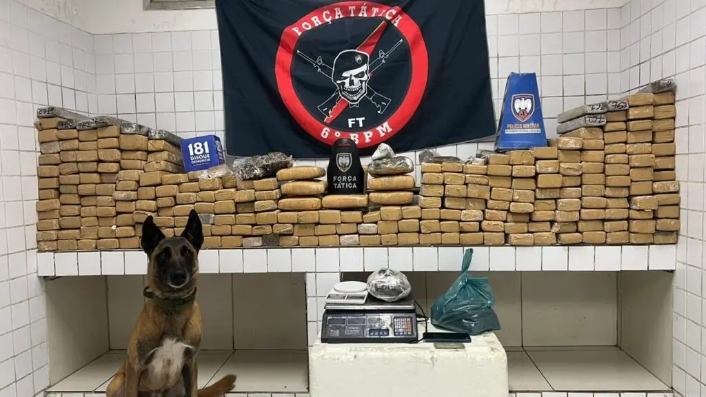 Polícia Militar arrocha casa após denúncia e encontra mais de 200 Kg de maconha na Serra