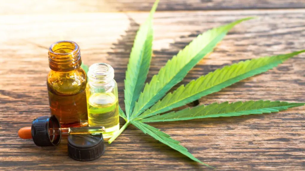 Medicamentos à base de Cannabis deverão ser distribuídos pelo SUS no Espírito Santo