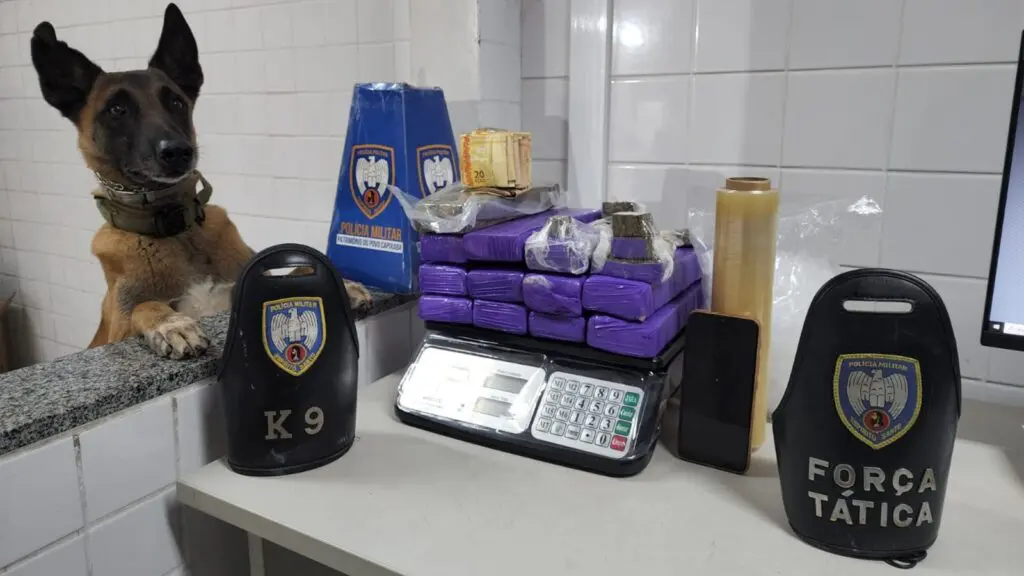 Força Tática apreende quase 8 kg de maconha com apoio de cão farejador na Serra