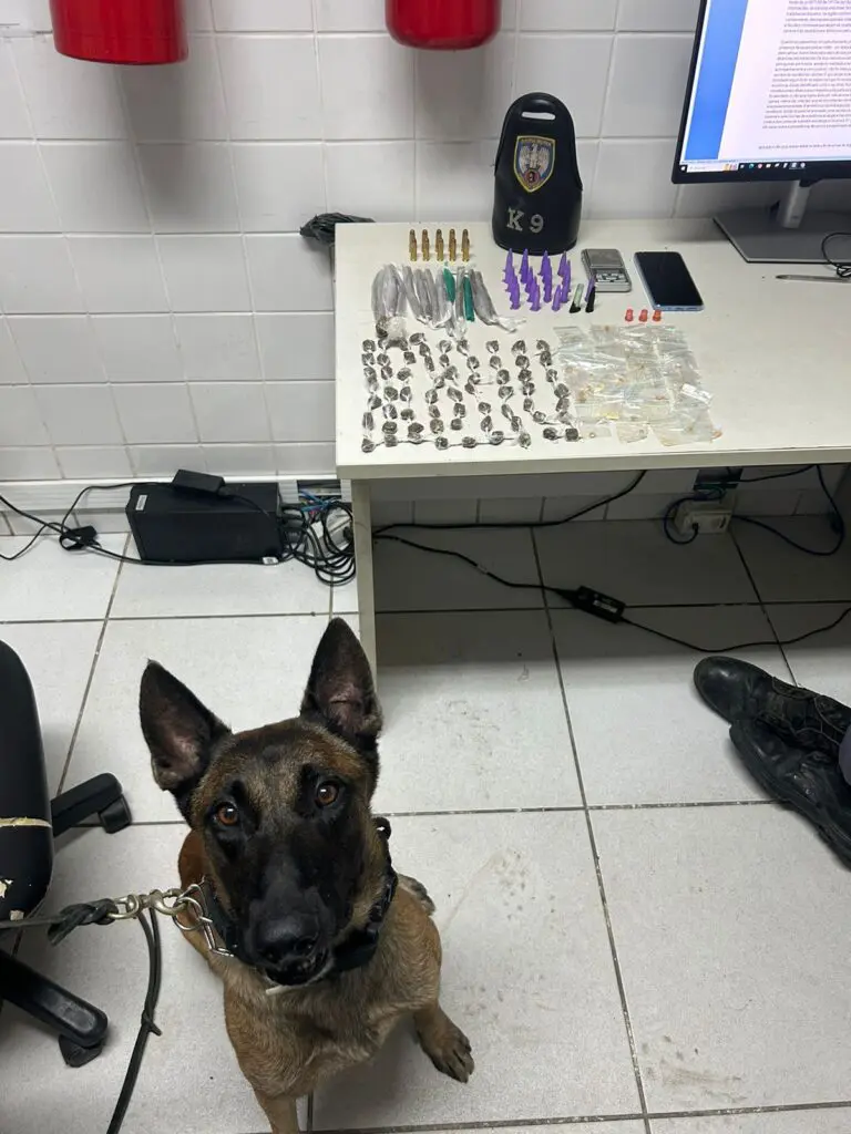 Materiais apreendidos pela equipe da Polícia Militar durante a ocorrência, 77 buchas de maconha, 55 pedras de crack, 22 pinos de cocaína, 10 munições calibrem .38, um celular e uma balança de precisão.