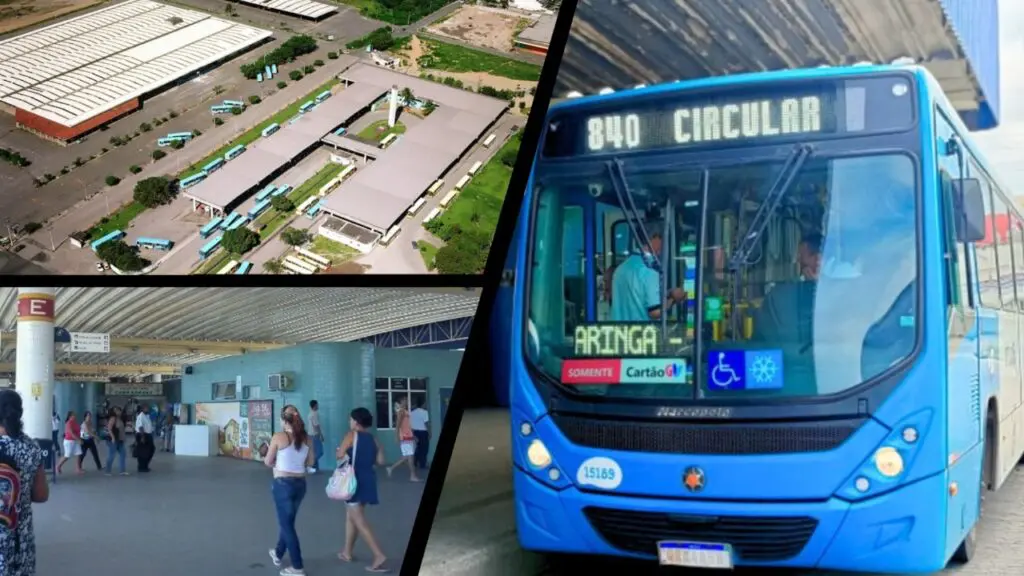 CETURB lança nova linha de ônibus para melhorar transporte de passageiros na Serra Nova linha da Transcol começa operar nesta semana na Serra.