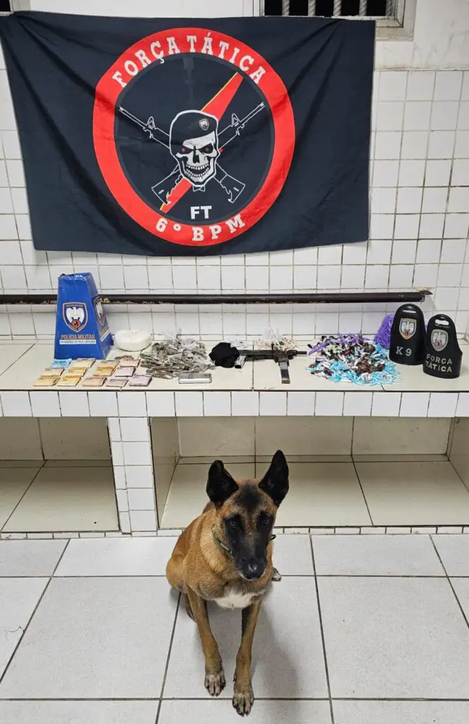 Cão Apollo pousando a frente da apreensão de drogas e arma da Força Tatica K9.