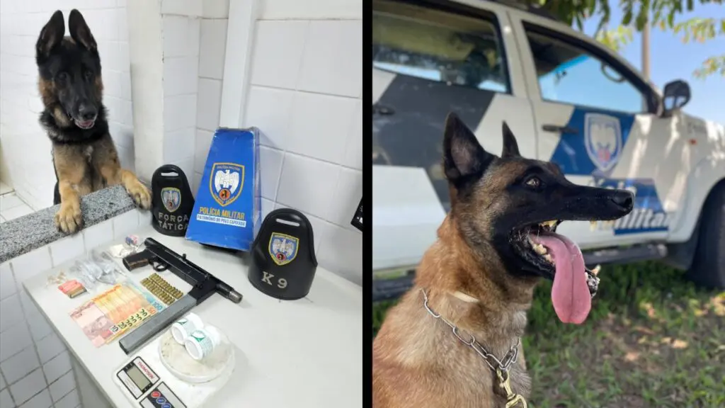 Força Tática prende traficante armado com metralhadora caseira após perseguição frenética na Serra Polícia Militar arrocha traficante vacilando na pista na Serra.
