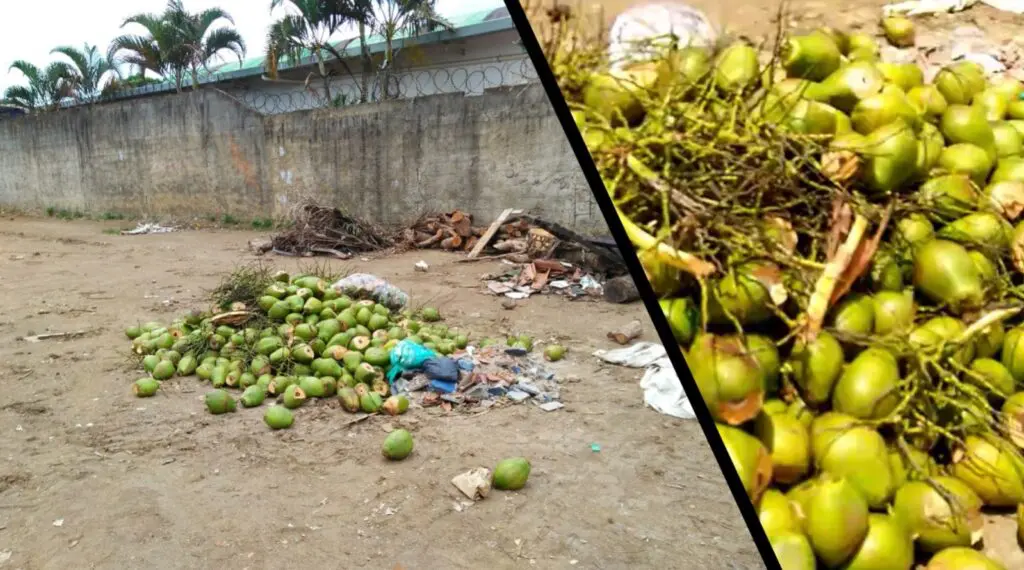 lixo acumulado próximo à creche CMEI em Nova Carapina II