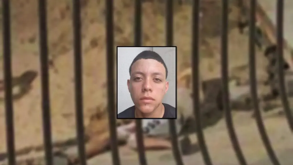 Guerra do Tráfico: Adolescente de 16 anos é executado com 14 disparos na Serra