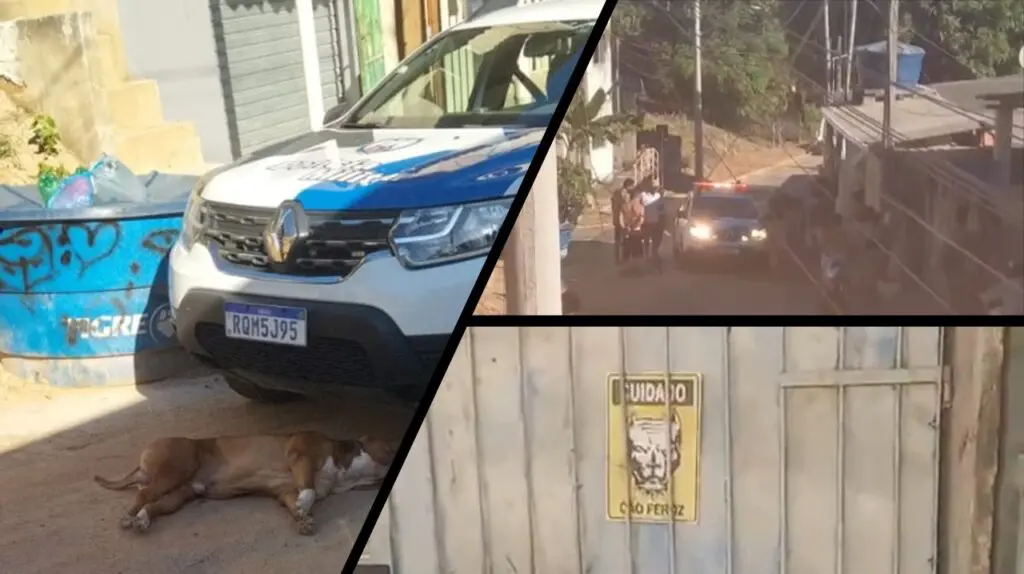 Corregedoria da Polícia Militar vai investigar a ocorrência que acabou com cachorro morto na Serra